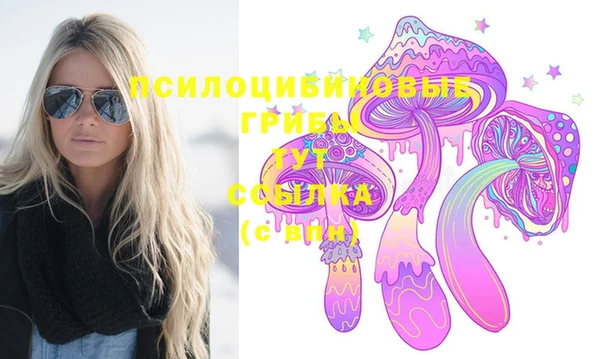 герыч Верхний Тагил