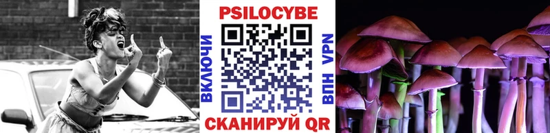 Псилоцибиновые грибы Psilocybe где купить наркоту Кедровый