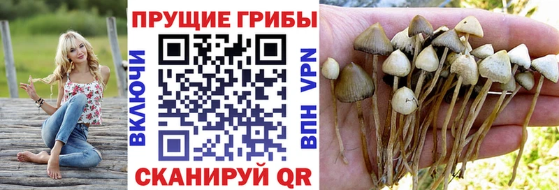 Галлюциногенные грибы MAGIC MUSHROOMS Кедровый
